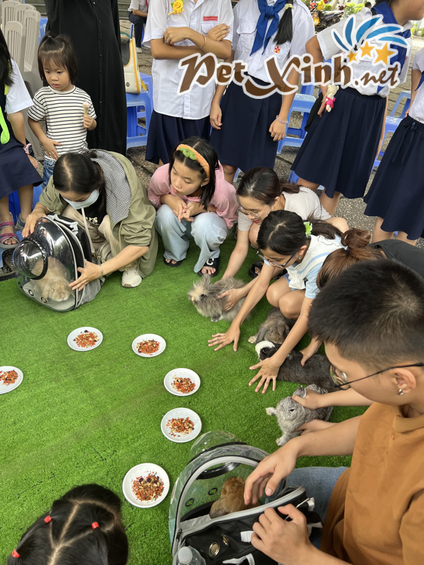 Hình ảnh buổi offline thỏ 02/06 tại PetXinh 22