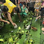 Hình ảnh buổi offline thỏ 02/06 tại PetXinh 34