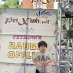 Hình ảnh buổi offline thỏ 02/06 tại PetXinh 26