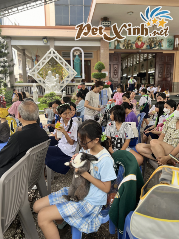 Hình ảnh buổi offline thỏ 02/06 tại PetXinh 25