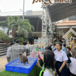 Hình ảnh buổi offline thỏ 02/06 tại PetXinh 37