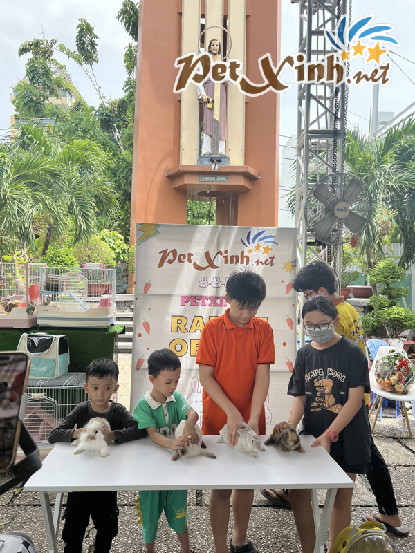 Hình ảnh buổi offline thỏ 02/06 tại PetXinh 27
