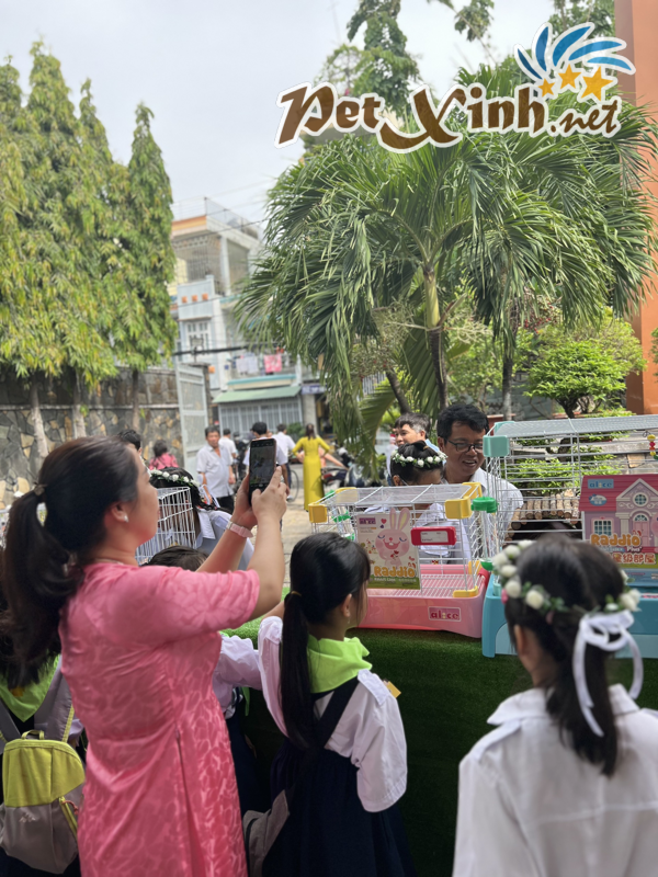 Hình ảnh buổi offline thỏ 02/06 tại PetXinh 30