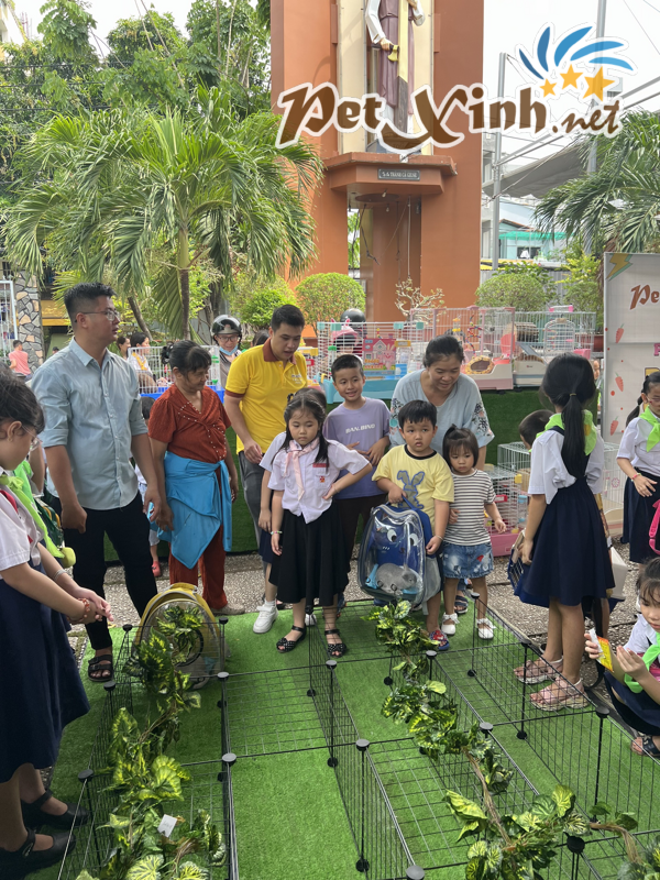 Hình ảnh buổi offline thỏ 02/06 tại PetXinh 24