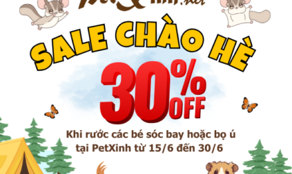 Khuyến mãi chào hè - Các bé Sóc bay và Bọ ú giảm 30% - Nhanh tay "rinh" ngay kẻo lỡ! 3