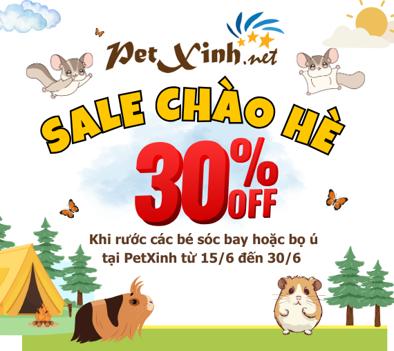 Khuyến mãi chào hè - Các bé Sóc bay và Bọ ú giảm 30% - Nhanh tay "rinh" ngay kẻo lỡ! 3