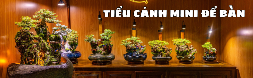 PetXinh - shop thú cưng uy tín Gò Vấp, Tp.HCM 13